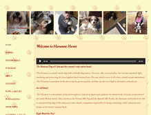 Tablet Screenshot of havanese4u.com